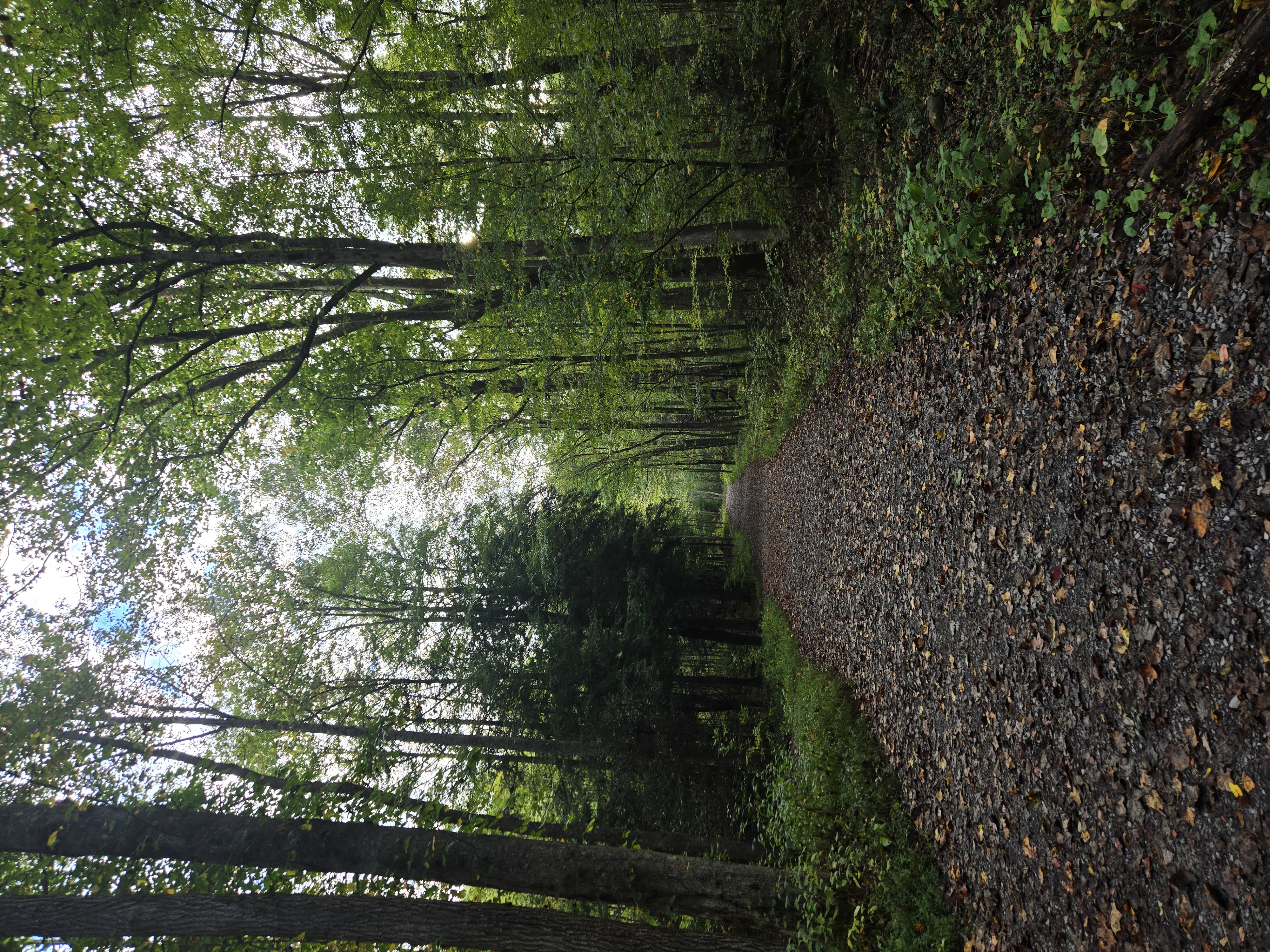 Great Smoky Mountains